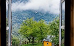 Guesthouse Dritan Tethorja