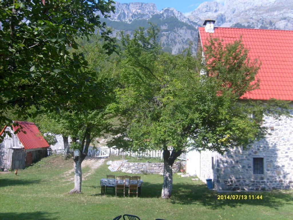 Guesthouse Dritan Tethorja Theth Exterior foto