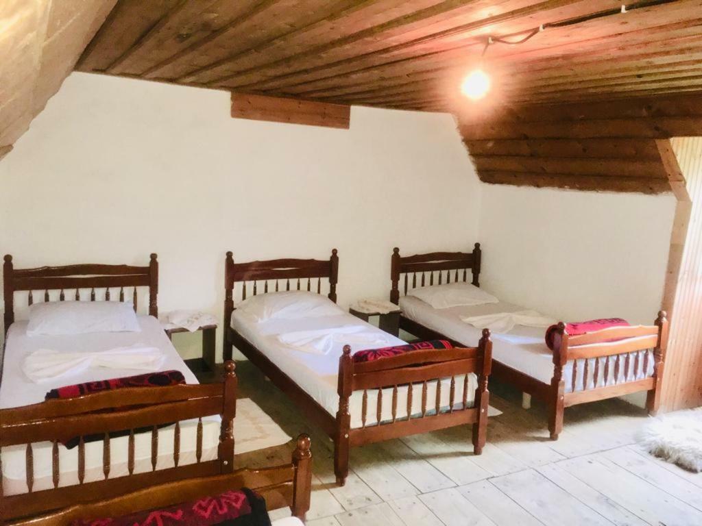 Guesthouse Dritan Tethorja Theth Exterior foto